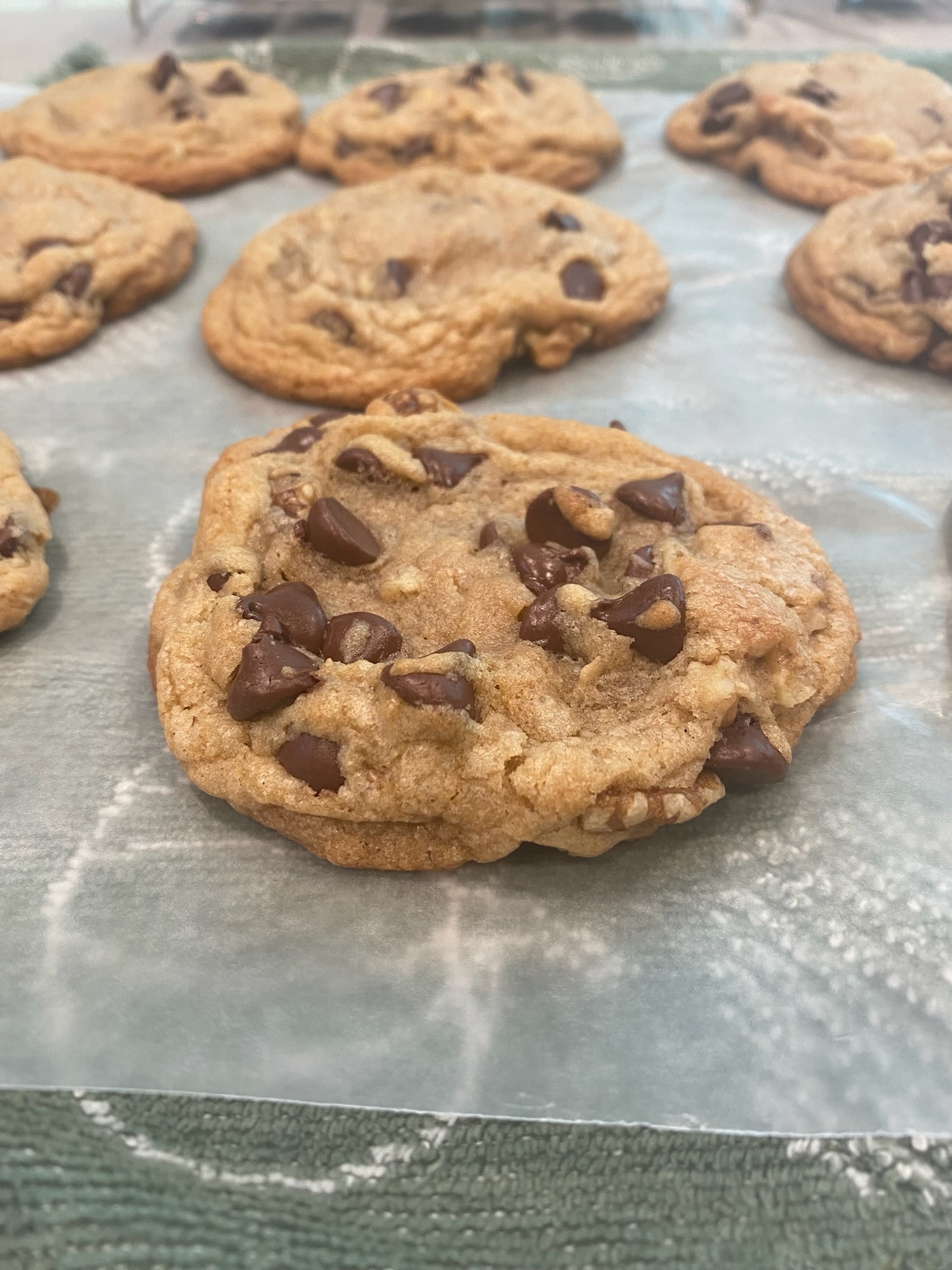 Chocolate chip cookies