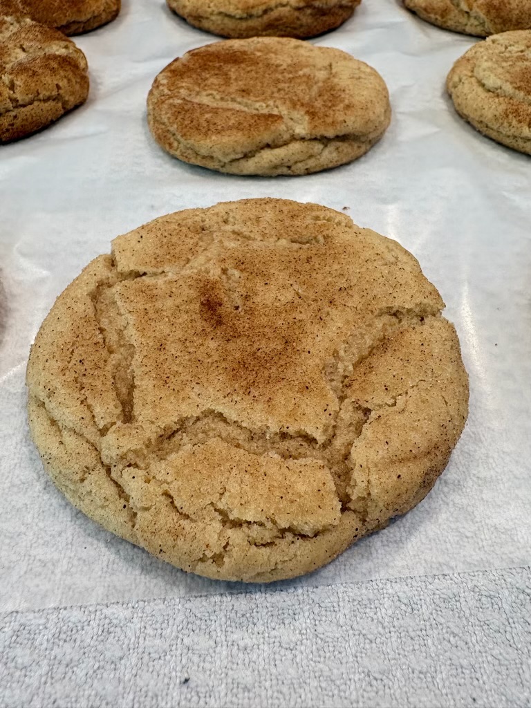 Snickerdoodle cookies with cinnamon sugar